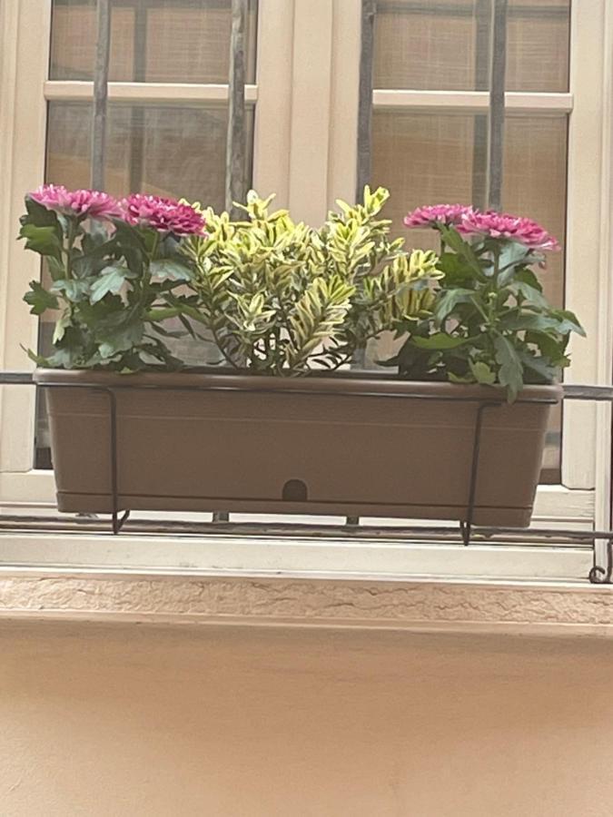 Cuor Di Mantova B&B Екстер'єр фото